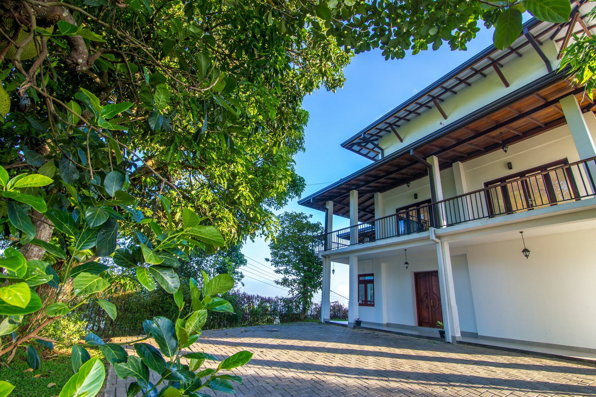 Jack Tree Lodge แคนดี้ ภายนอก รูปภาพ